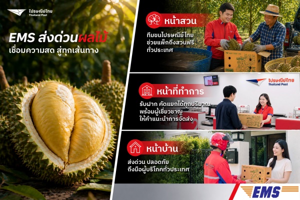 ไปรษณีย์ไทยลุย “หน้าทุเรียน” ดัน 3 กลยุทธ์ ส่ง EMS ระบายผลผลิตทั่วไทย